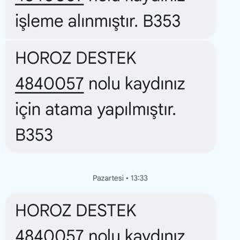 İade Sürecinde Yaşanan Sorunlar Ve Mağduriyet