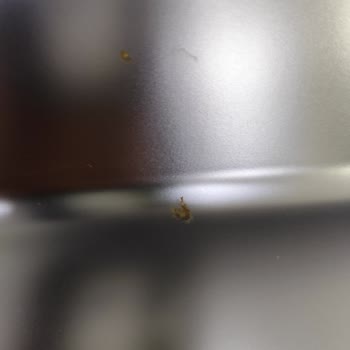 Arçelik Bulaşık Makinesi Pas Sorunu Ve Yetersiz Servis Hizmeti