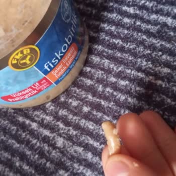 Fiskobirlik Fındık Ezmesinde Şok Edici Sert Madde