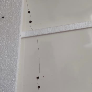 Kırık Mobilya Teslimatı: Aras Kargo'nun Zayıf Hizmeti