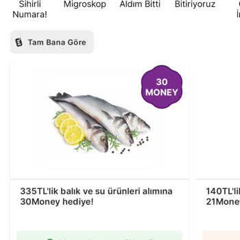Eksik Money İadesi Ve Müşteri Hizmetleri Sorunu