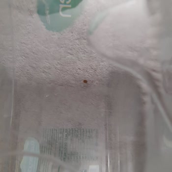 Damacana Suyunda Yabancı Cisim Ve İade Sorunları