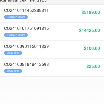 Ebay Siparişlerinde Enerji Oluşturma Sorunu Ve Müşteri Hizmetleri Mağduriyeti