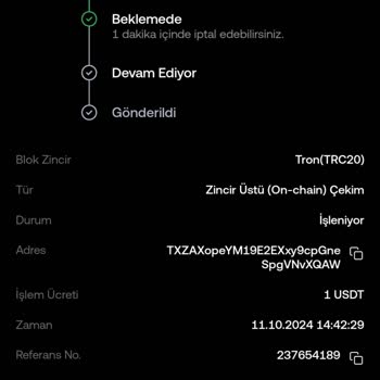 Ebay Siparişlerinde Enerji Oluşturma Sorunu Ve Müşteri Hizmetleri Mağduriyeti