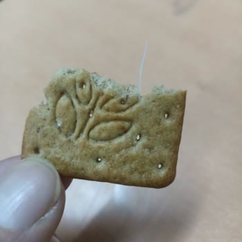 Bisküvi Paketinden Çıkan Plastik Şok Etti