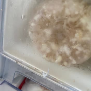 Beko Buzdolabı Kapak Sorunu Ve Yetersiz Müşteri Hizmeti