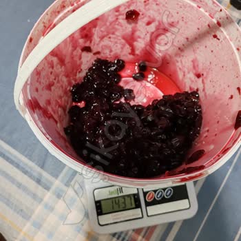 Kırık Kova Ve İletişimsizlik: Mağduriyetim Giderilsin