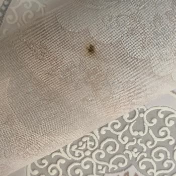 Yanlış Yıkama Sonrası Hayal Kırıklığı