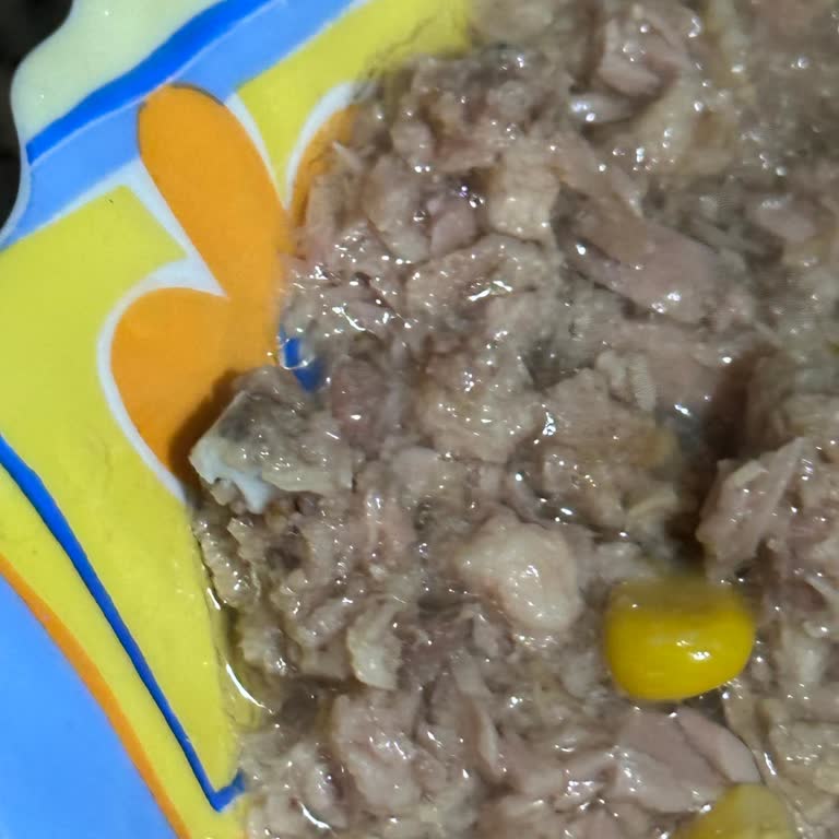 A101'de Satılan Konserve Ton Balığında Güven Sorunu