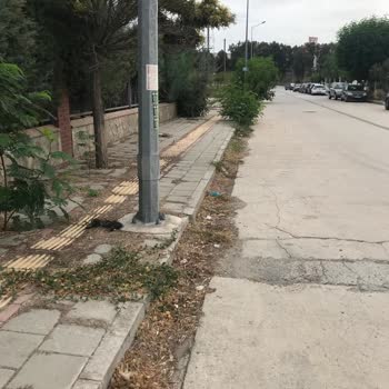 Tarihi Alanda Temizlik Sorunu Ve Medeniyet Eksikliği