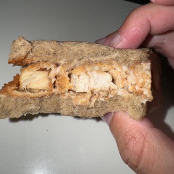 Dardanel Tavuk Teriyaki Ürününde Plastik Cisim Şoku