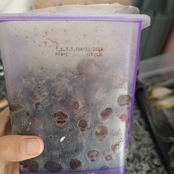 Hayal Kırıklığına Uğratan MarmaraBirlik Zeytin Deneyimi