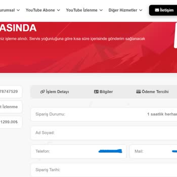 Satın Aldığım İzlenmeler Gelmedi, Param Çöpe Gitti