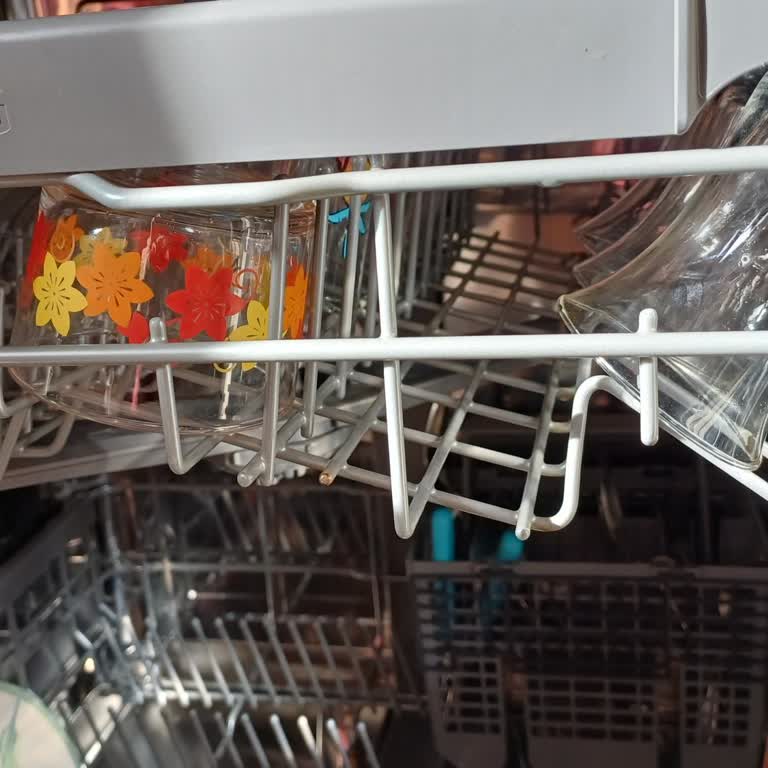 LG Bulaşık Makinesi Paslanma Sorunu