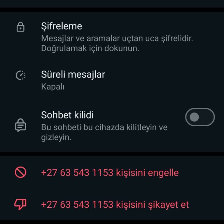 Güney Afrika'dan Gelen Mesajla İlgili Güvenlik Endişesi