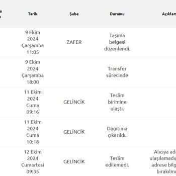 Yurtiçi Kargo Teslimat Sorunu Ve Müşteri Hizmetleri Erişimsizliği