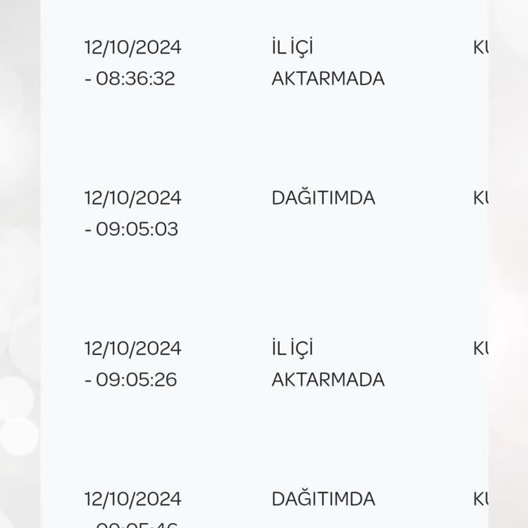 Kargo Teslimatında Yaşanan Sorunlar