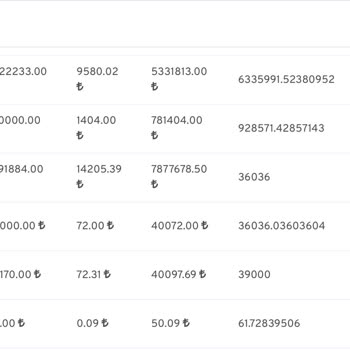 Hesabımda Kaybolan Yatırımlar