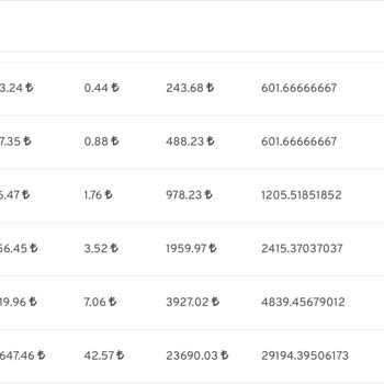 Hesabımda Kaybolan Yatırımlar