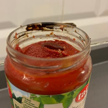 Tat Marka Salçanın Beklenmedik Küflenmesi