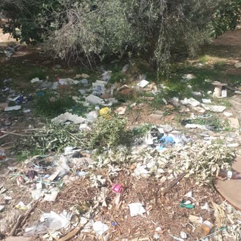 Buca'daki Çöp Sorunu İçin Acil Çözüm Talebi