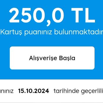 Mavi Kartuş Puanı Kullanım Sorunu