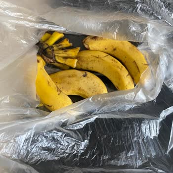 Migros Hemen Siparişinde Tarihi Geçmiş Ve Çürük Ürün Sorunu