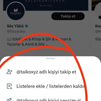 Hesap Kısıtlaması Sonrası Gönderi Silme Sorunu