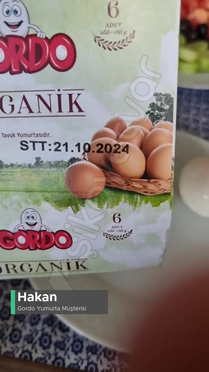 Sözde Organik Gordo Yumurta! videonun kapak resmi