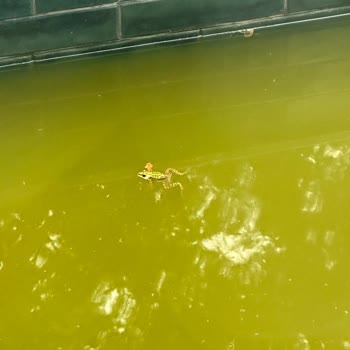 Backyard Kabus Gibi Konaklama: Hijyen Ve Hizmet Eksikliği