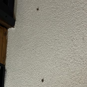 Backyard Kabus Gibi Konaklama: Hijyen Ve Hizmet Eksikliği