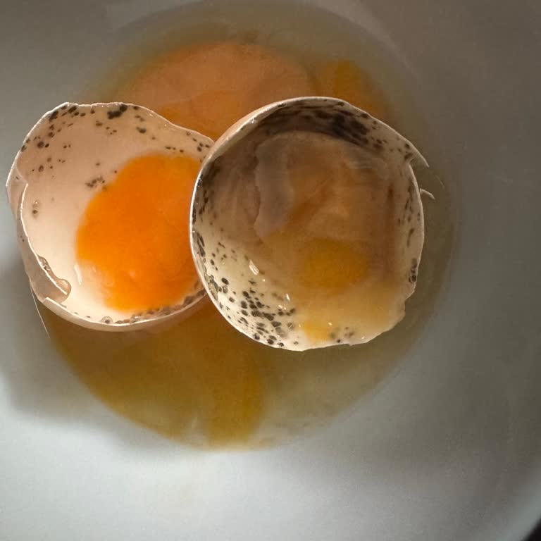 Bozuk Yumurta İle Gelen Hayal Kırıklığı