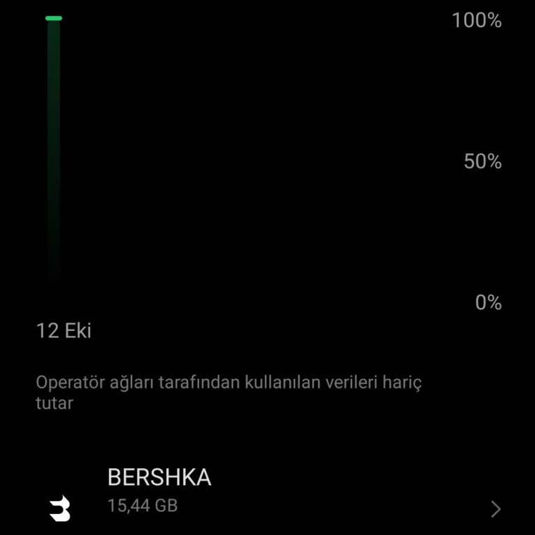 Gece Şarjda Kapanan Telefonun Gizemli Veri Tüketimi