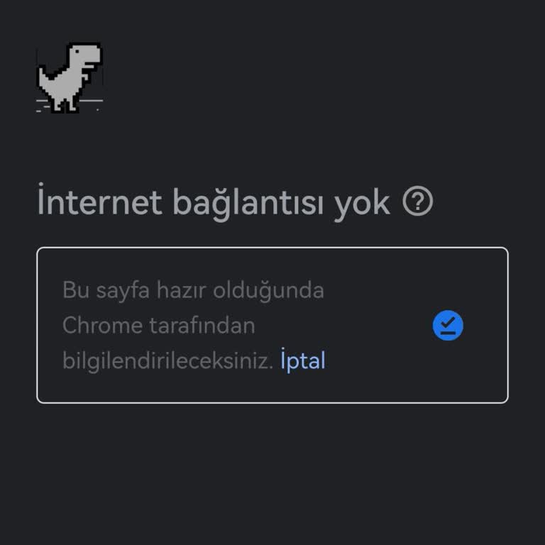 Teknik Destek Ve Ücretlendirme Sorunu