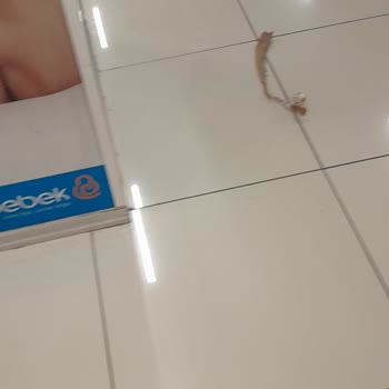 Bebek Mağazasında Hijyen Sorunu
