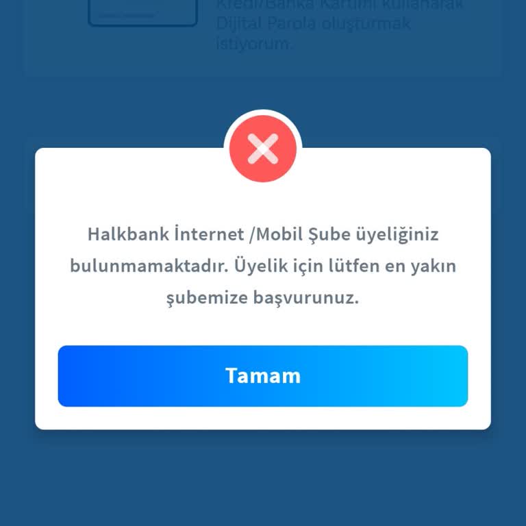 Halkbank Mobil Şube Erişim Sorunu
