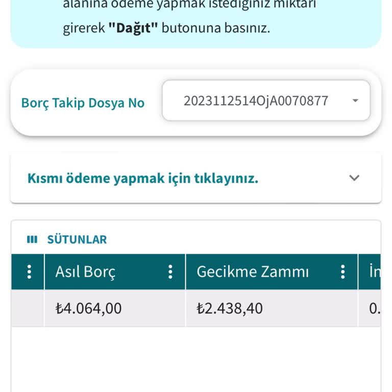 Ödenmiş Trafik Cezasının Hatalı Görünümü