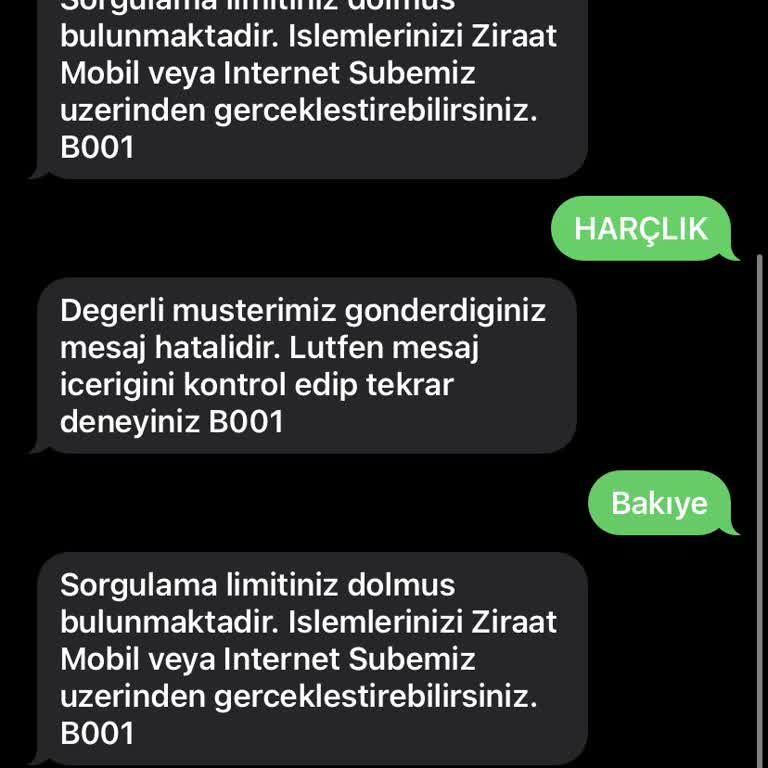 Ziraat Bankası Bakiye Sorgulama Limit Sorunu