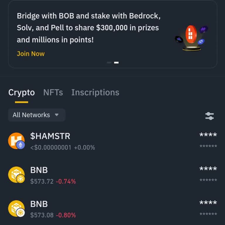 Binance Pro Cüzdanım Kapanınca Varlıklarım Kayboldu