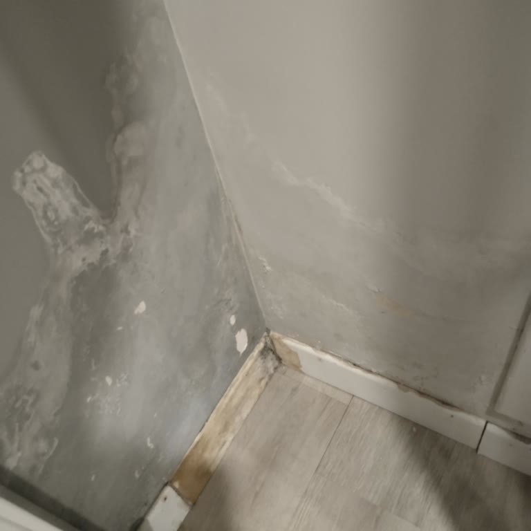 Merdan Cadde Şikayetçiyim