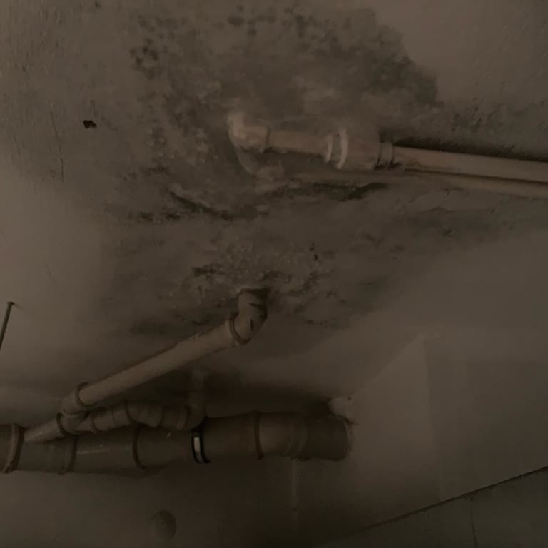 Şok Marketin İhmali: Garaj Ve Sığınak Su Baskınına Uğradı