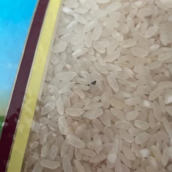 Pahalı Pirinçte Böcek Şoku