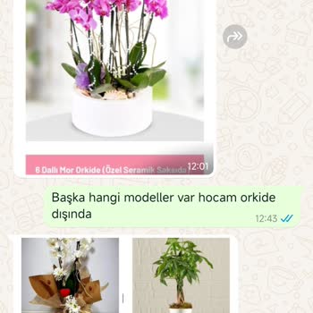 Çiçek Siparişinde Mağduriyet Ve İade Sorunu