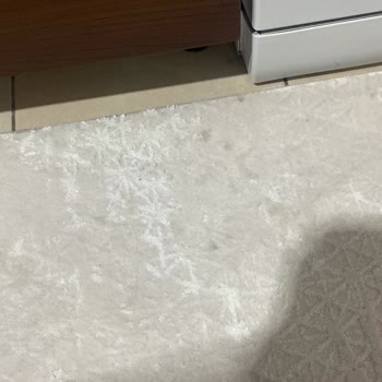 Pro-Tem Premium Halı Yıkama Hizmetinde Büyük Hayal Kırıklığı