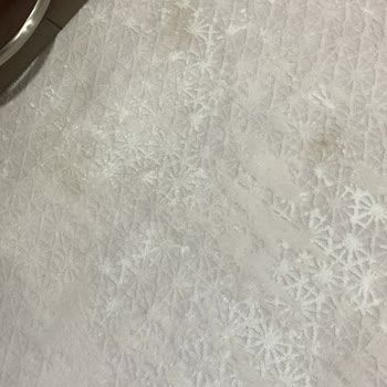 Pro-Tem Premium Halı Yıkama Hizmetinde Büyük Hayal Kırıklığı