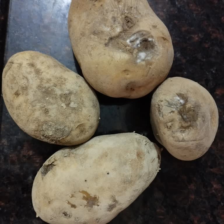 Bozuk Ürün Ve Yanıltıcı Hizmet: Migros Hemen Hayal Kırıklığı