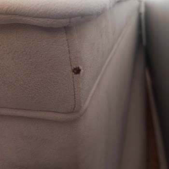 Mondi Batman Şubesi'nden Tozlu Ve Yırtık Koltuk Sorunu