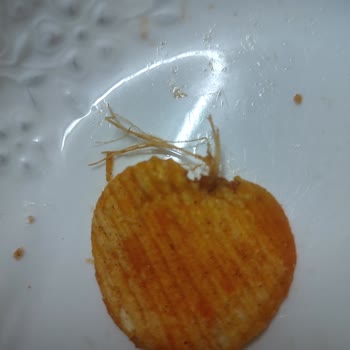 Ruffles Ketçaplı Cips İçinden Çıkan Yabancı Maddeler