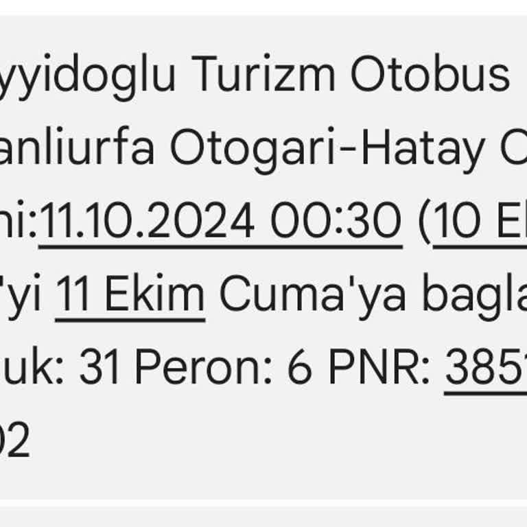 Köpeğimle Seyahat Hakkım Engellendi: Otobüs Şoförünün Tavrı Ve Hakaret