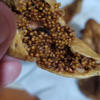 Kurtlu Ve Çürük Kuru İncir Şikayeti